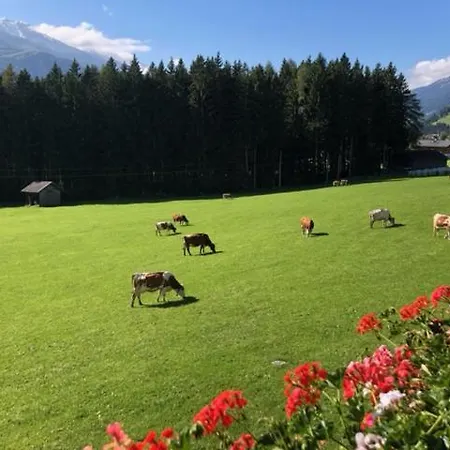Bauernhof Thurnummerstall Alojamento de Turismo Rural