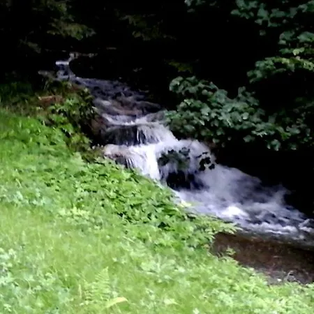 Alojamento de Turismo Rural Bauernhof Thurnummerstall