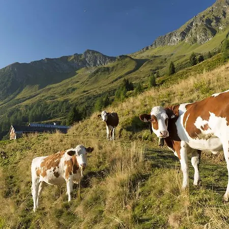 Bauernhof Thurnummerstall Farm stay Hollersbach im Pinzgau