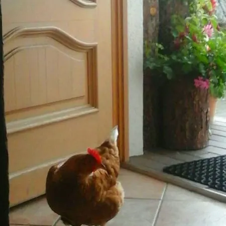 Agroturismo Bauernhof Thurnummerstall Hollersbach im Pinzgau