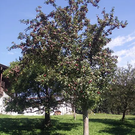 Κατάλυμα σε φάρμα Bauernhof Thurnummerstall *