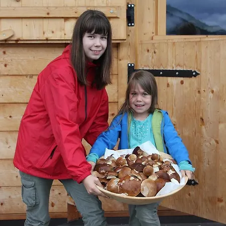 Κατάλυμα σε φάρμα Bauernhof Thurnummerstall Hollersbach im Pinzgau