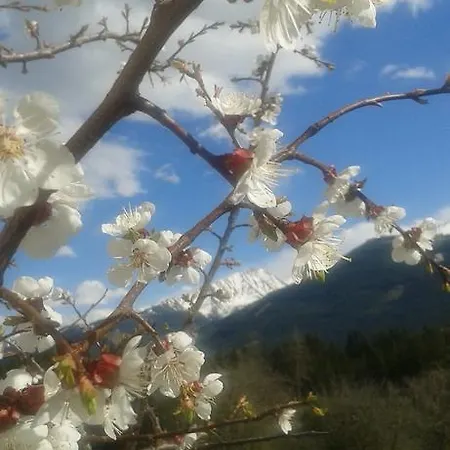 Çiftlik konaklama Bauernhof Thurnummerstall