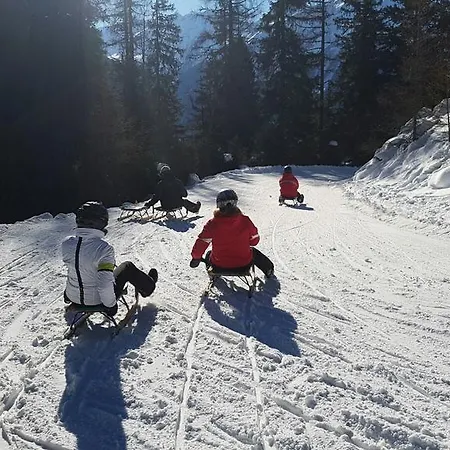 Bauernhof Thurnummerstall Farm stay Hollersbach im Pinzgau