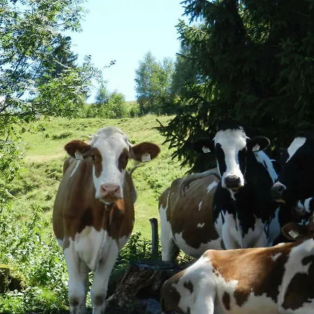 Bauernhof Thurnummerstall *