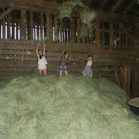 Bauernhof Thurnummerstall Farm stay Hollersbach im Pinzgau