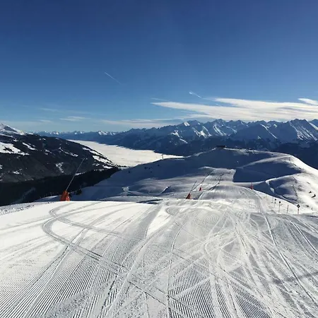 Bauernhof Thurnummerstall