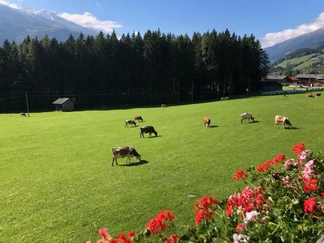 Bauernhof Thurnummerstall Gospodarstwo agroturystyczne