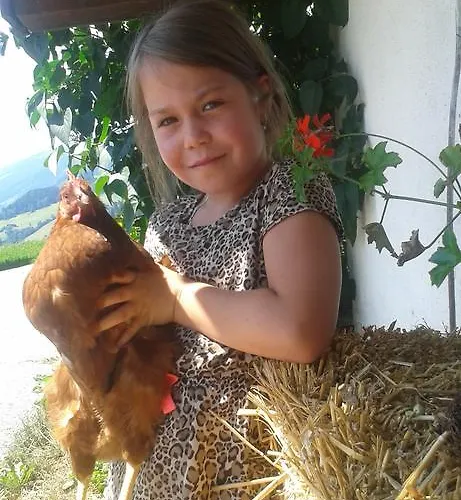 Gospodarstwo agroturystyczne Bauernhof Thurnummerstall *