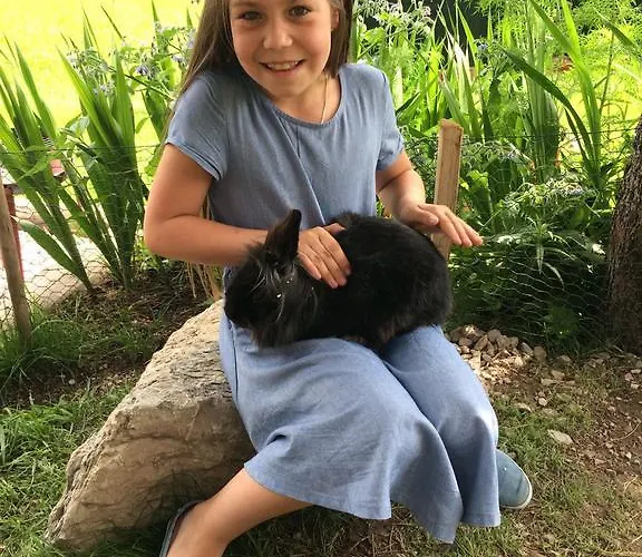 בית חווה Bauernhof Thurnummerstall הולרבאך איםפינצגאו