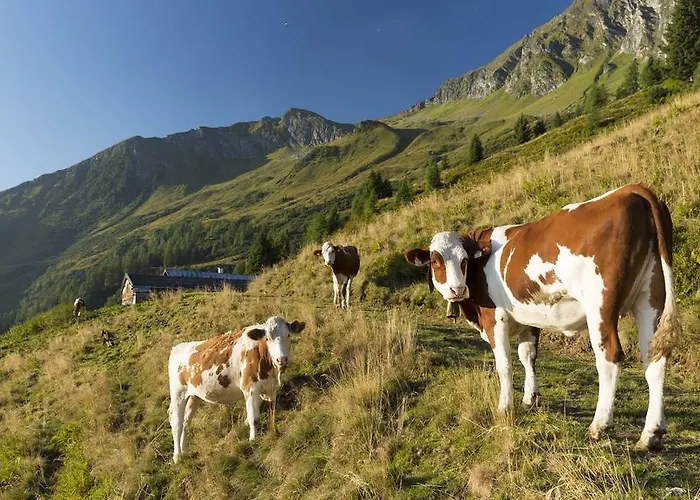 Bauernhof Thurnummerstall Gospodarstwo agroturystyczne Hollersbach im Pinzgau
