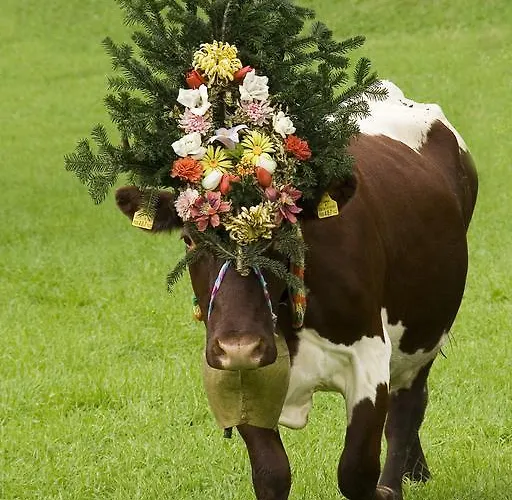 בית חווה Bauernhof Thurnummerstall *