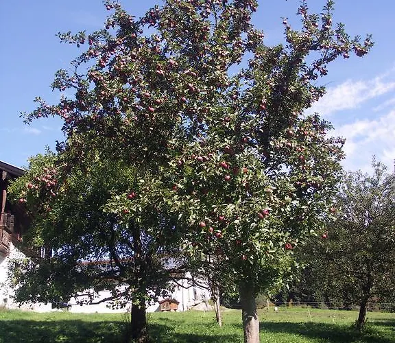 Gospodarstwo agroturystyczne Bauernhof Thurnummerstall *