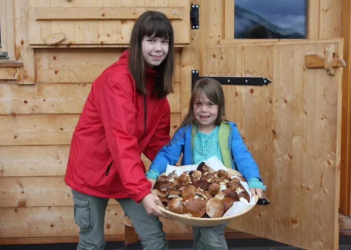 Gospodarstwo agroturystyczne Bauernhof Thurnummerstall Hollersbach im Pinzgau