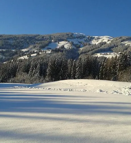 Bauernhof Thurnummerstall בית חווה