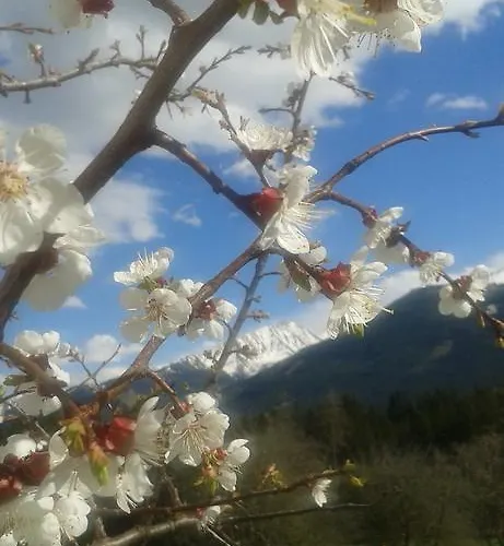 בית חווה Bauernhof Thurnummerstall