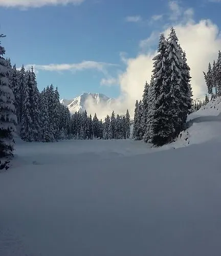 Bauernhof Thurnummerstall בית חווה הולרבאך איםפינצגאו