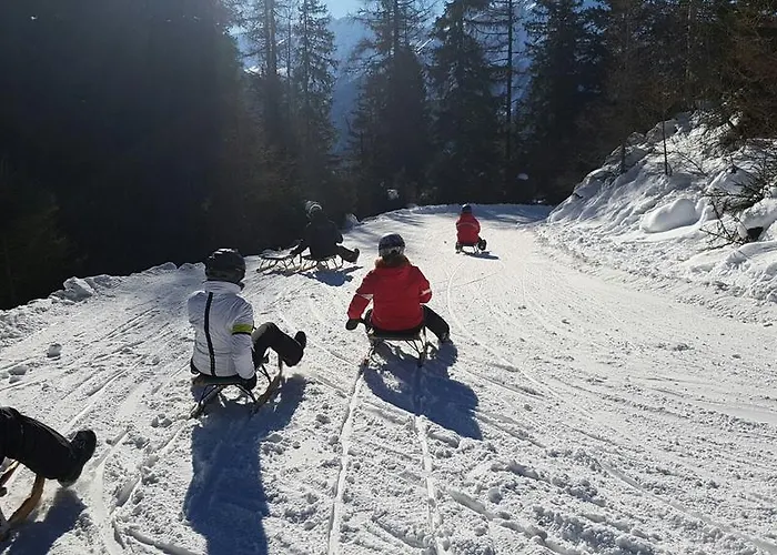 Bauernhof Thurnummerstall בית חווה הולרבאך איםפינצגאו