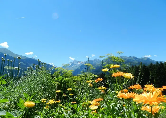 Bauernhof Thurnummerstall Gospodarstwo agroturystyczne