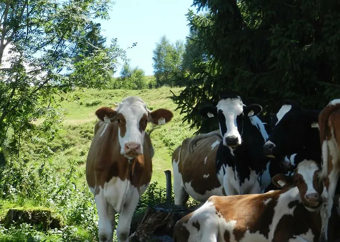 Bauernhof Thurnummerstall *