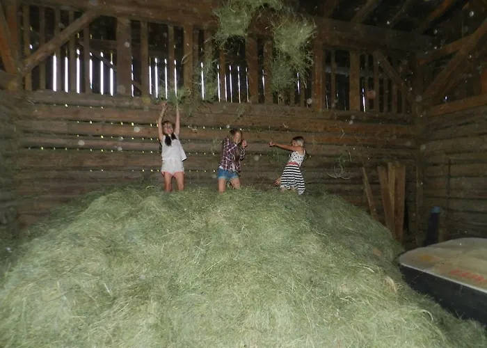 Bauernhof Thurnummerstall בית חווה הולרבאך איםפינצגאו