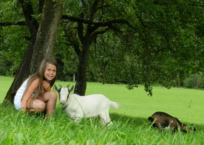 Gospodarstwo agroturystyczne Bauernhof Thurnummerstall