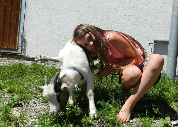 Gospodarstwo agroturystyczne Bauernhof Thurnummerstall *